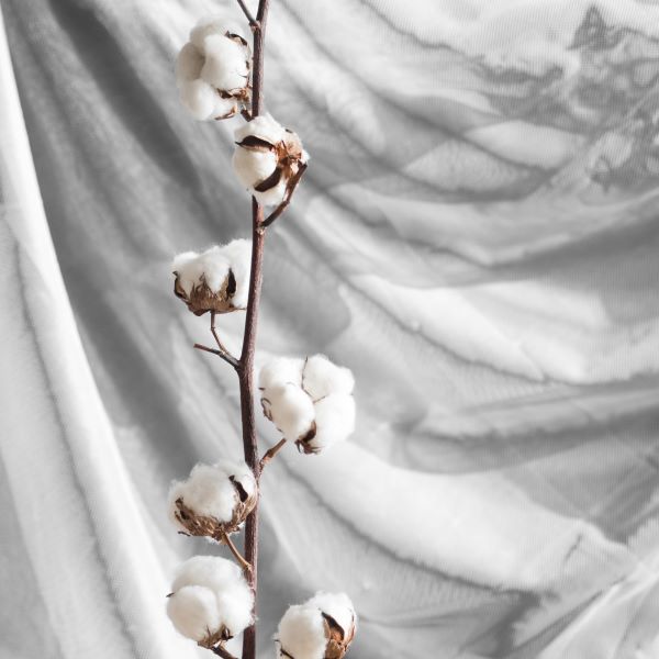 Everything You Need To Know About Bamboo Cotton