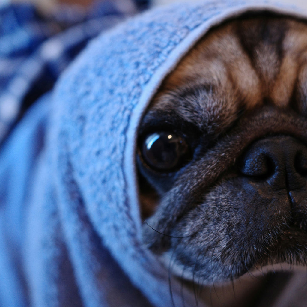 Time to Replace Your Distressed Dressing Gown?