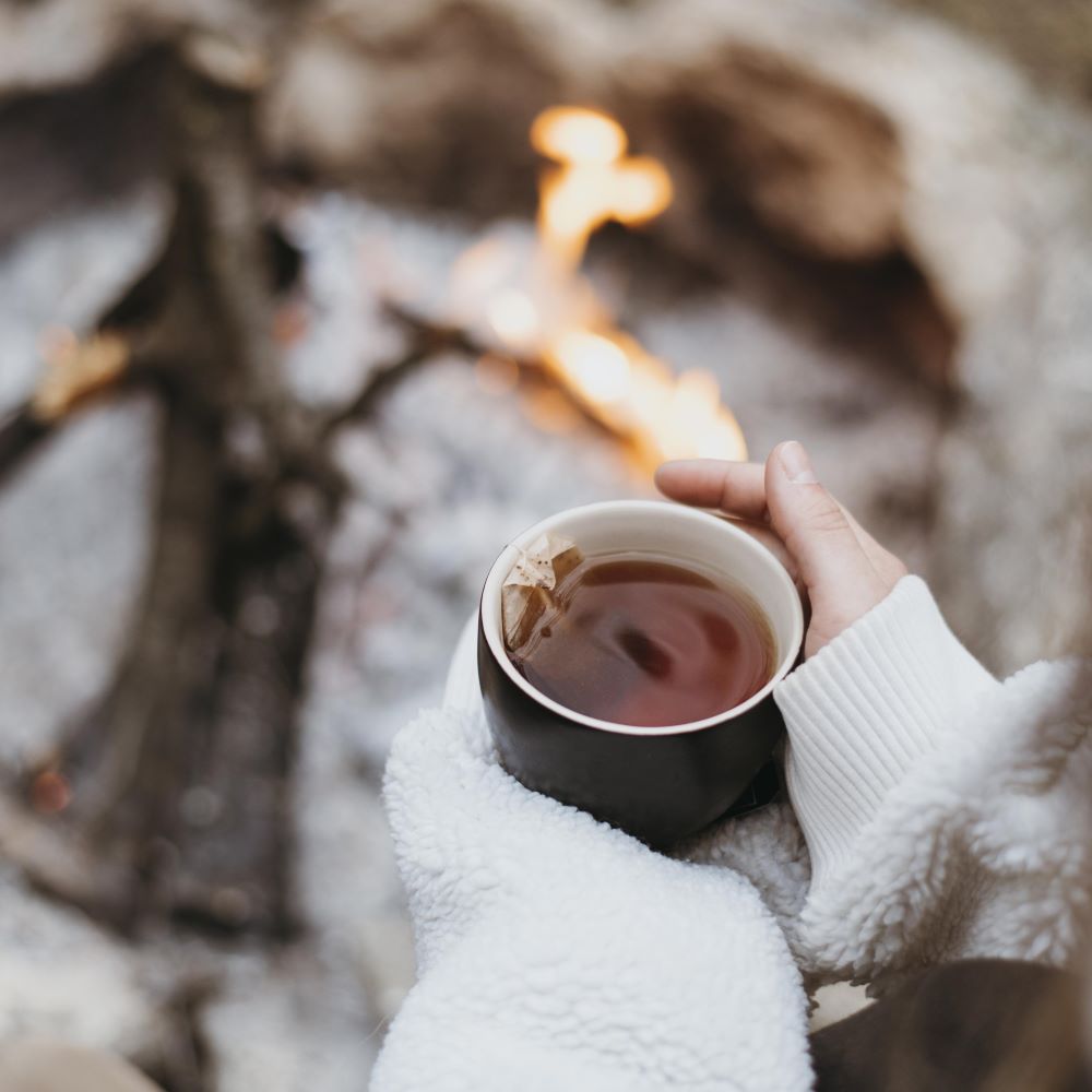 Cozy Adventures in the Cold