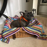 Pet Blanket - Daylight