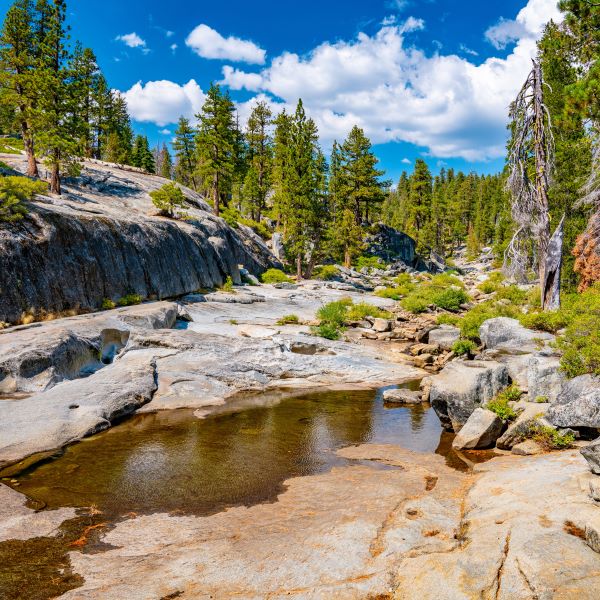 Into the Wild: Unraveling the Beauty of National Parks this Summer