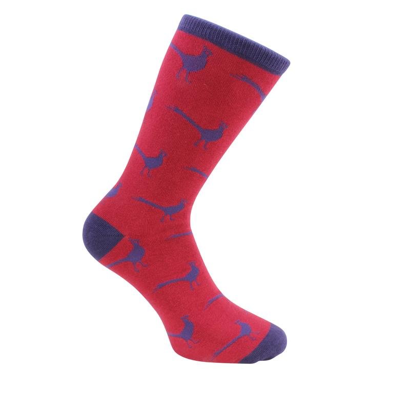 Have a Pheasant Day Socks | Bown of London