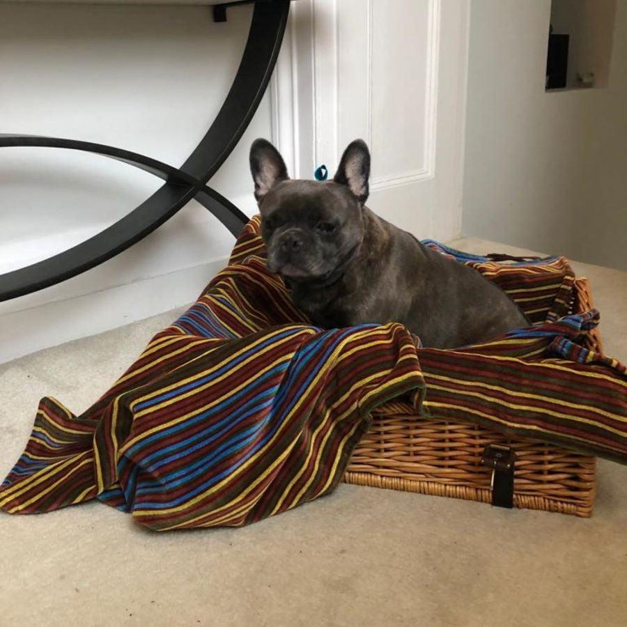 Pet Blanket | Bown of London 